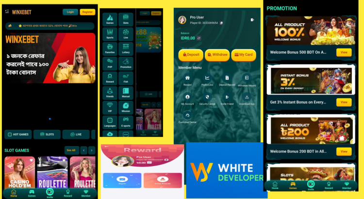 ck44  casino orginal source code